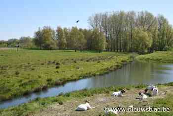 Gemeente koopt grond Gersemeers om natuurgebied Heistergem groter te maken