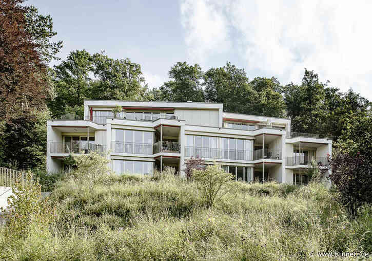 Zwischen Wald und Wiese
 - Mehrfamilienhaus in Baden von KNTXT Architektur
