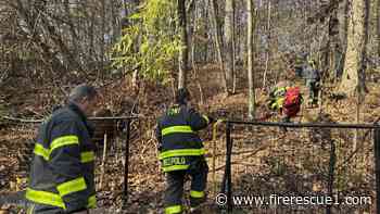 FDNY creates brush fire task force in response to over 200 fires