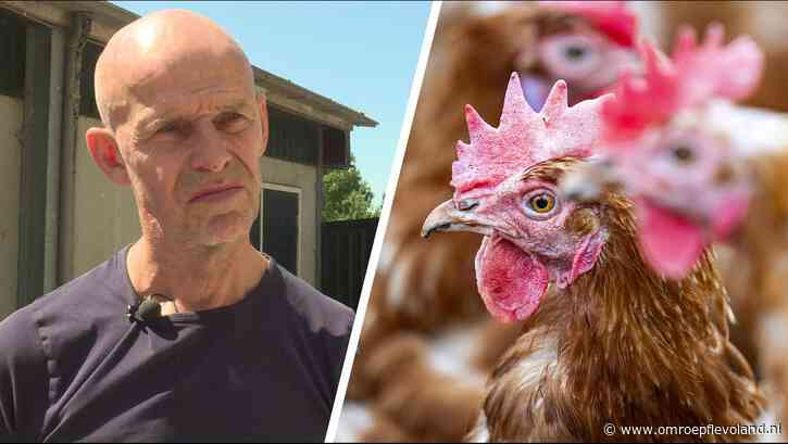 Zeewolde - Pluimveehouder geraakt door nieuwe vogelgriepmaatregelen: 'Het was een kwestie van tijd'