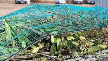 Gartenbauverein übergibt 1500 Unterschriften für den Erhalt der Grüngut-Sammelstelle