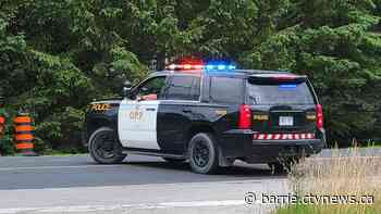 Driver dies in collision with tree after vehicle bursts into flames