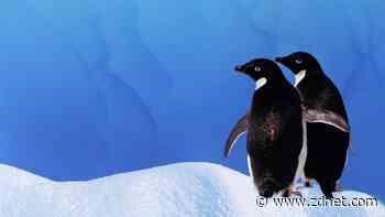 10 lessons I've learned from the open-source community that aren't about tech