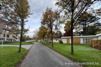 Ruimtelijk uitvoeringsplan Ruelenspark goedgekeurd, ondanks hevig protest van buurtbewoners