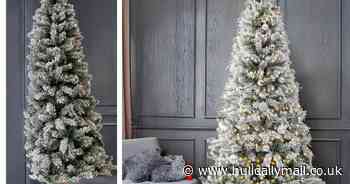 Debenhams is selling a 7ft half Christmas tree for smaller spaces - and it's on sale