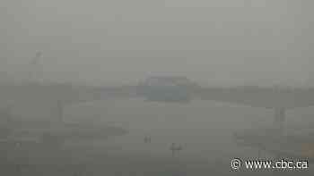 Northern India chokes in smog 130 times WHO limits