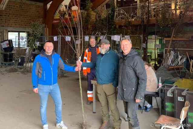 313 gezinnen kregen een boom in Herne