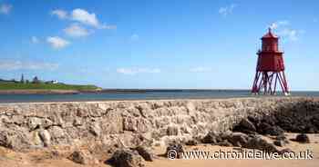 Nexus announces new bus route to provide a link to South Shields's iconic seafront