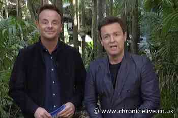 Ant and Dec ignite I'm A Celebrity 'feud' as star hits back at ITV presenters' dig