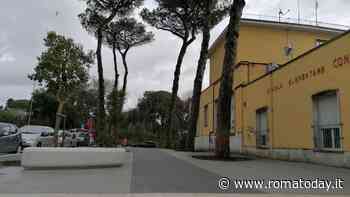 Allarme topi nella scuola primaria del Trieste-Salario. Bambini a casa e pasti freddi a mensa