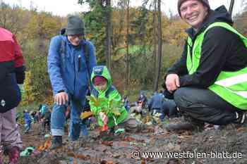Klimaschützer bestücken zwei Hektar kahle Waldfläche mit 8000 neuen Bäumen