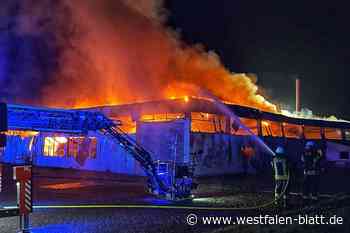 Wäscherei-Großbrand in Bad Driburg: Ursachenforschung gescheitert