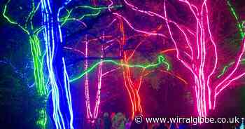 Much-loved Christmas light trail wows crowds at Chester Zoo