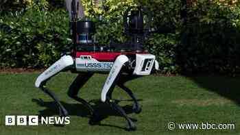 ‘Do not pet’: Why are robot dogs patrolling Mar-A-Lago?