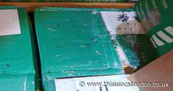 Mouse poo found on food at Barking shop