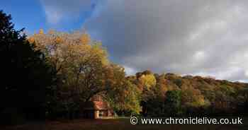 Pervert put on sex offender's register after exposing himself to two women in Jesmond Dene