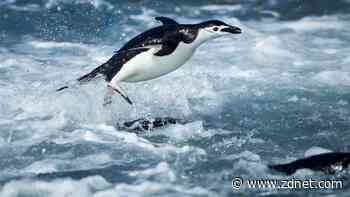 Real-time Linux leads kernel v6.12's list of new features