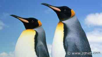My Linux predictions for 2025: It's going to be a good year