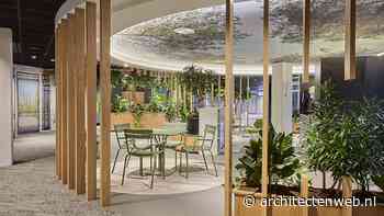 Het kantoor als ontmoetingsplek