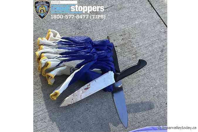 2 are killed and 1 is critically wounded in New York City knife rampage. A suspect is in custody