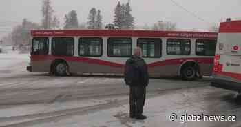 Wet, heavy snow causes chaos on Calgary roads