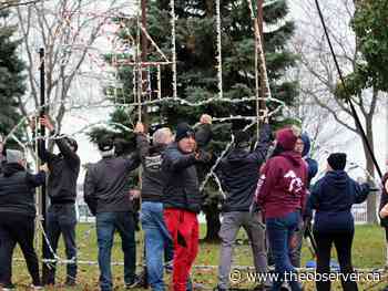 Sarnia-Lambton Celebration of Lights set to shine