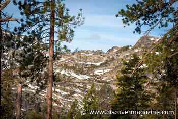 What If the Donner Party Didn't Resort to Cannibalism?