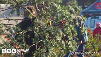 Christmas tree event cancelled over staff shortage