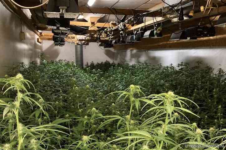 Hennepkwekerij aan de Visserijweg ontdekt: Bedrijfspand in Purmerend zes maanden gesloten