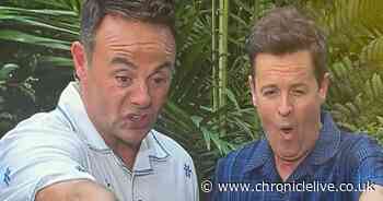 I'm A Celebrity's Ant and Dec left 'horrified' as ITV trial takes alarming turn