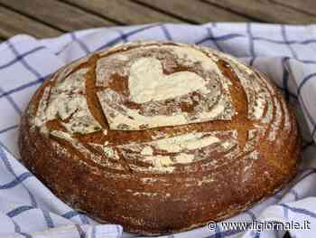 Celiachia, intolleranza al glutine e allergia: quali sono le differenze?