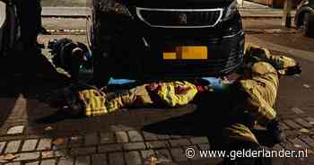 Brandweer, politie én dierenambulance in actie voor kat in nood