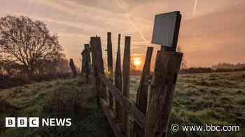 Your photos: Castles, clocks and Christmas trees