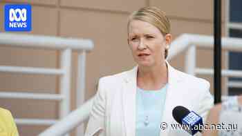 Former NT deputy chief minister takes up role with fracking company she spruiked in government