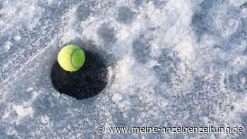 Warum Tennisbälle im Winter Ihren Garten retten