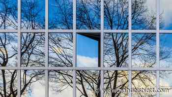 Nachhaltigkeit: LEED, BREEAM und Co.: Wie grüne Zertifikate den Immobilienwert beeinflussen