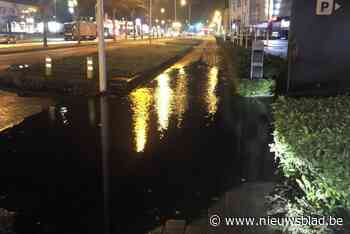 Pendelaar Stefan applaudisseert voor minister De Ridder: “Maar vergeet alstublieft de fietspaden niet”