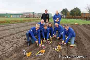 Eerste hyacinten geplant voor Bloemencorso Bollenstreek
