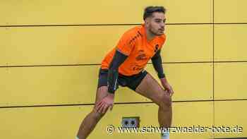 Faustball-Bundesliga: TSV Calw   rekordverdächtig