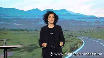 Decathlon: Sportartikelhändler will mehr als 60 neue Filialen eröffnen