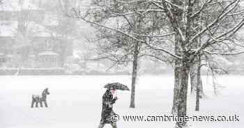 Have your say! Does snow make Britain grind to a halt too easily?