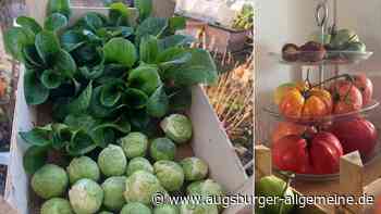 Winterpause für den Hobbygärtner - oder doch nicht?