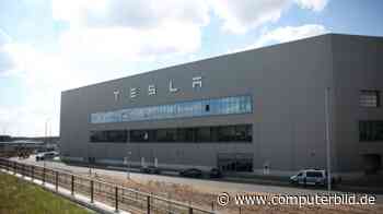 Tesla Grünheide: Polizei macht Protestcamp komplett dicht