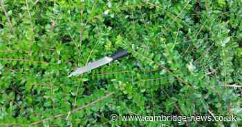 Teen ditched kitchen knife in Cambridge bush as police chased him