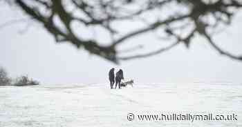 Have your say! Does snow make Britain grind to a halt too easily?