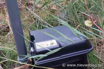 Gemeente Hulshout bestrijdt ratten met slimme vallen: “Kans op bijvangst van andere dieren wordt geminimaliseerd”