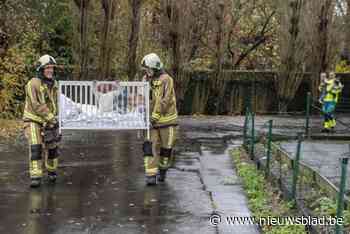 Zeventig kinderen geëvacueerd na kleine brand in crèche: “Een goede oefening”