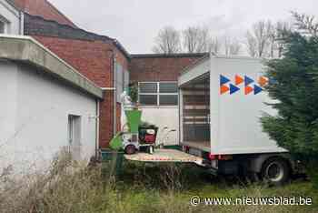 Franstalige politie ontmantelt cannabisplantage langs Herentalseweg in Geel