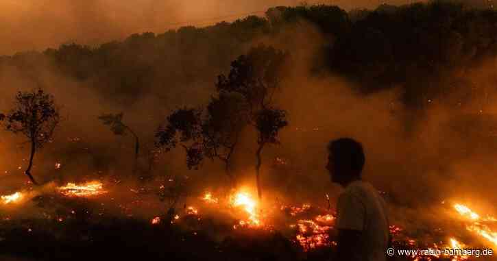 Bericht: 2023 eines der schlimmsten Waldbrandjahre in Europa