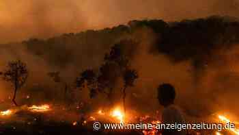 Bericht: 2023 eines der schlimmsten Waldbrandjahre in Europa